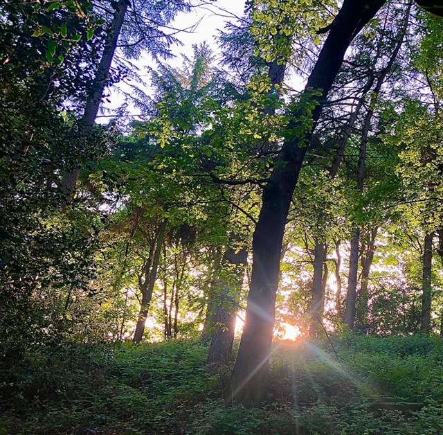 45674F39-0473-41DB-8463-6D5498EBA7BE