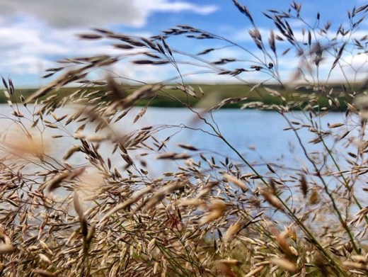 7C5B3E7B-FB86-4920-A25E-89DCD2F8D98E